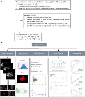 Radiomics analysis of gadoxetic acid-enhanced MRI for evaluating vessels encapsulating tumour clusters in hepatocellular carcinoma